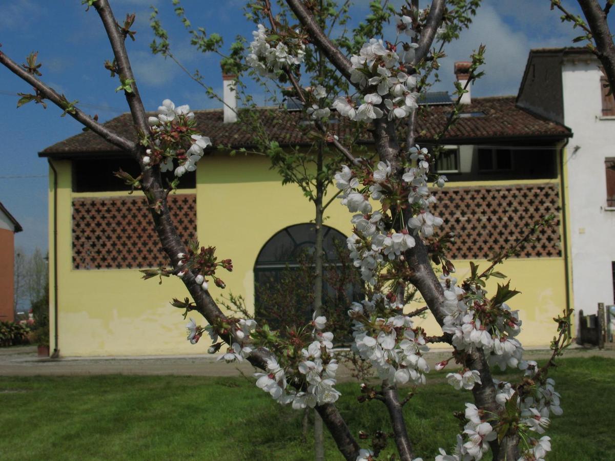 B&B Corte Cornalino Roverbella Extérieur photo